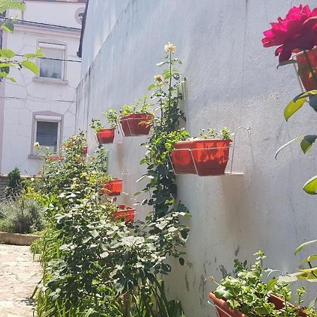 Garden Apartments Beograd Eksteriør billede