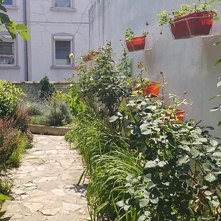 Garden Apartments Beograd Eksteriør billede