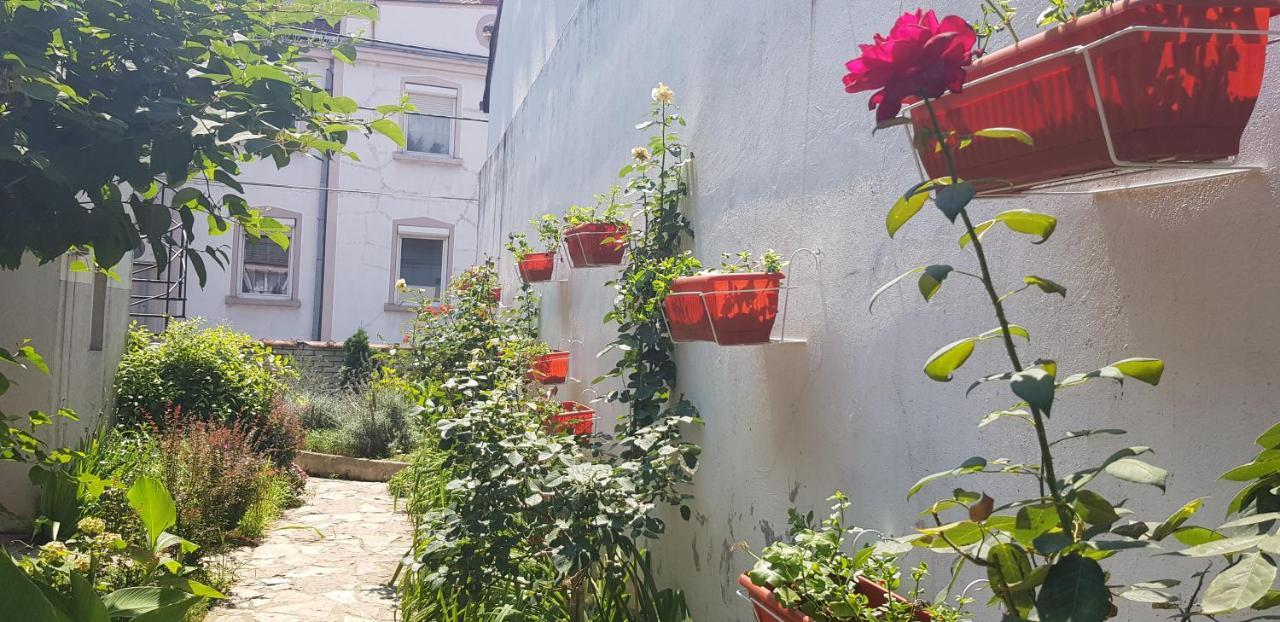 Garden Apartments Beograd Eksteriør billede